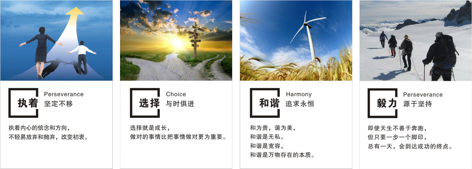 濱州偉創高分子材料有限公司
